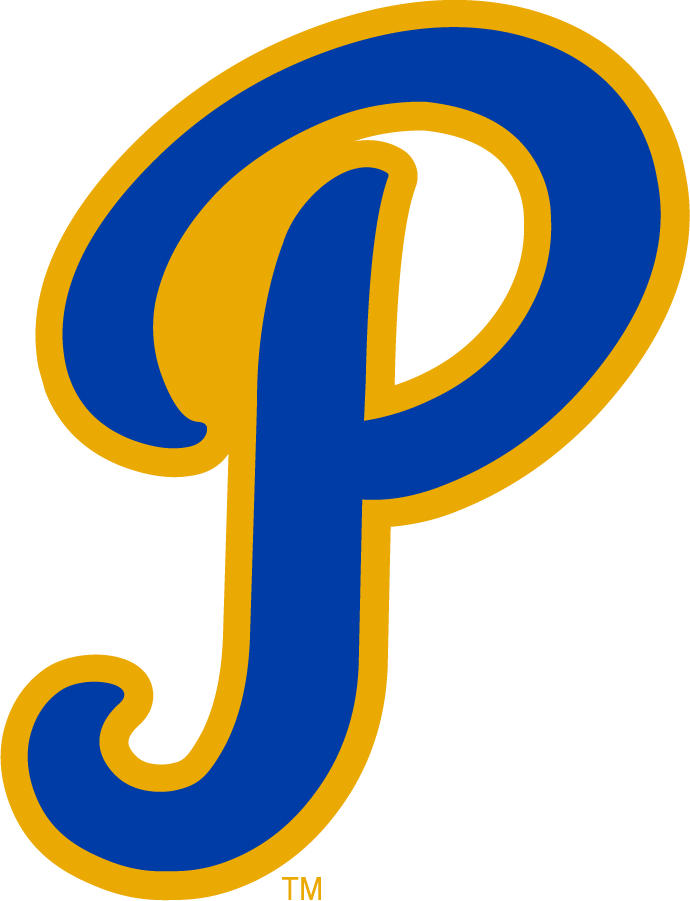 Pittsburgh Panthers 1970-1987 Secondary Logo diy DTF decal sticker